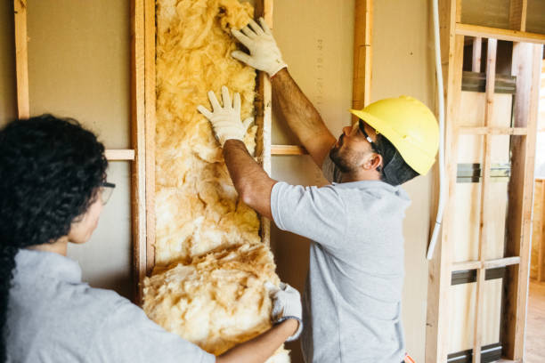 Lovelock, NV Insulation Contractor Company